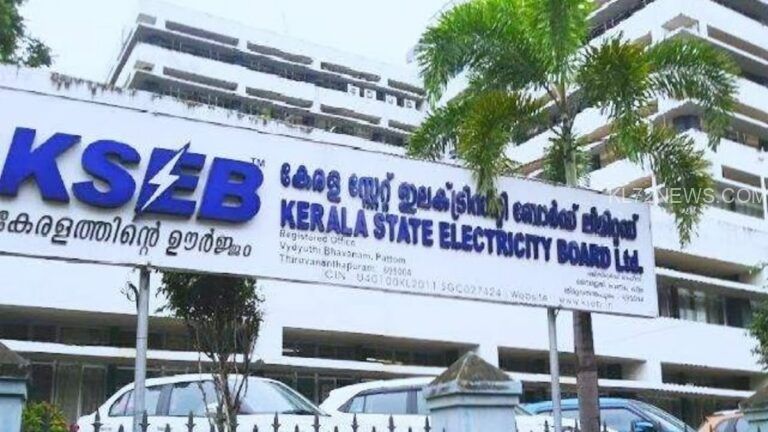 പഞ്ചായത്ത് ലൈസന്‍സ് ആവശ്യമില്ല, വ്യാവസായിക വൈദ്യുതി കണക്ഷന്‍ ഇനി എളുപ്പം; വേണ്ടത് രണ്ടുരേഖകള്‍ മാത്രം