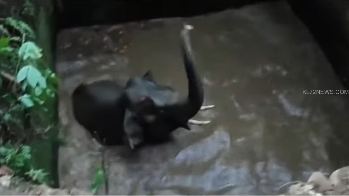 WhatsApp Image 2024-04-12 at 2.54.03 PM