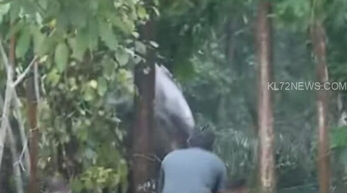 WhatsApp Image 2024-04-12 at 6.09.46 PM