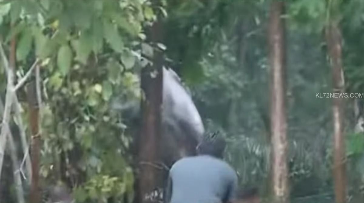 WhatsApp Image 2024-04-12 at 6.09.46 PM