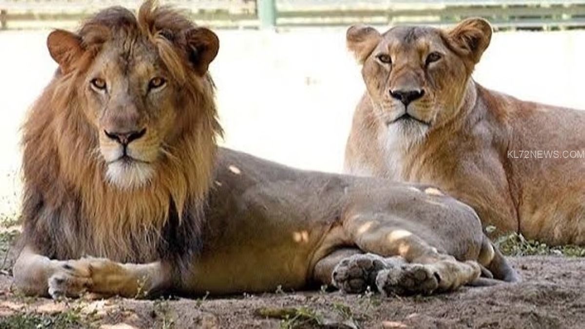 WhatsApp Image 2024-04-18 at 1.40.07 PM