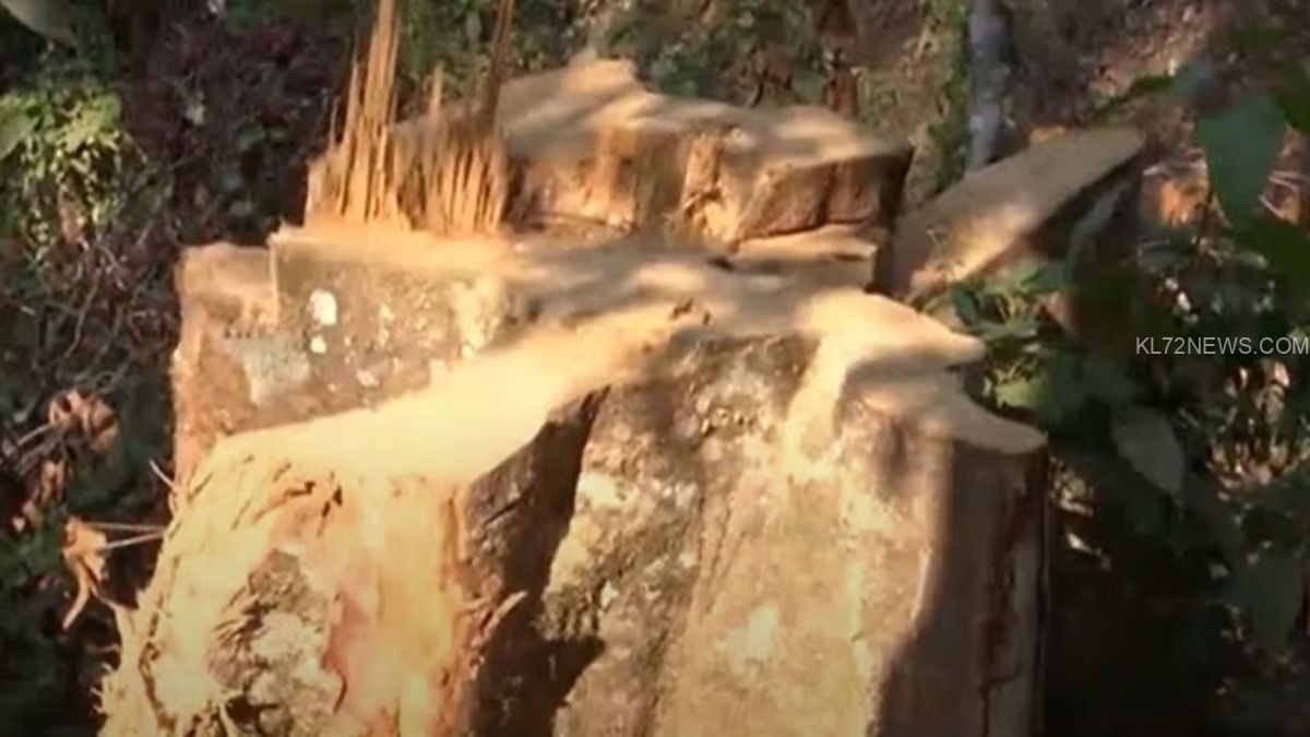 WhatsApp Image 2024-04-18 at 8.13.55 PM