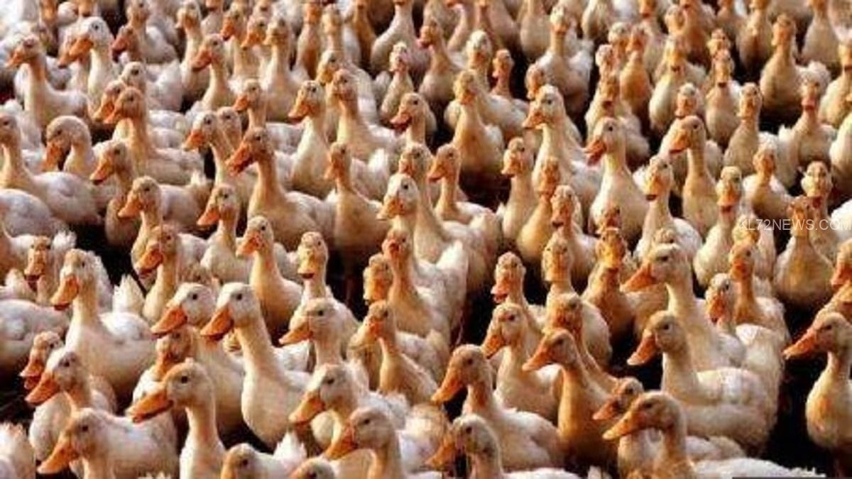 WhatsApp Image 2024-04-18 at 8.15.16 PM