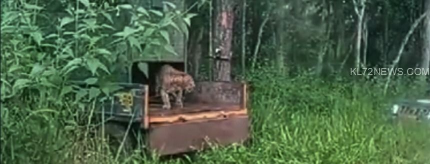 IMG-20240821-WA00102