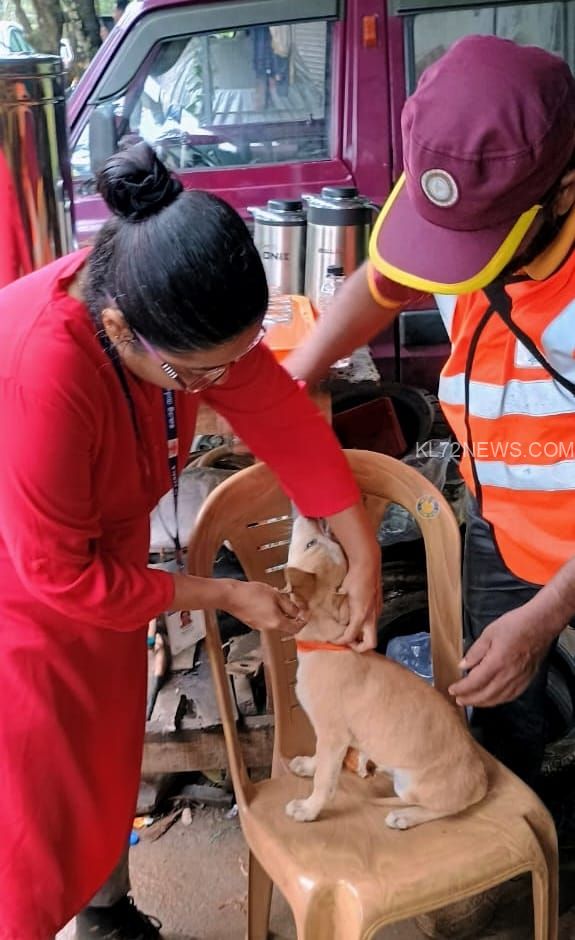 WhatsApp Image 2024-08-03 at 15.56.19_6c3d7a8e