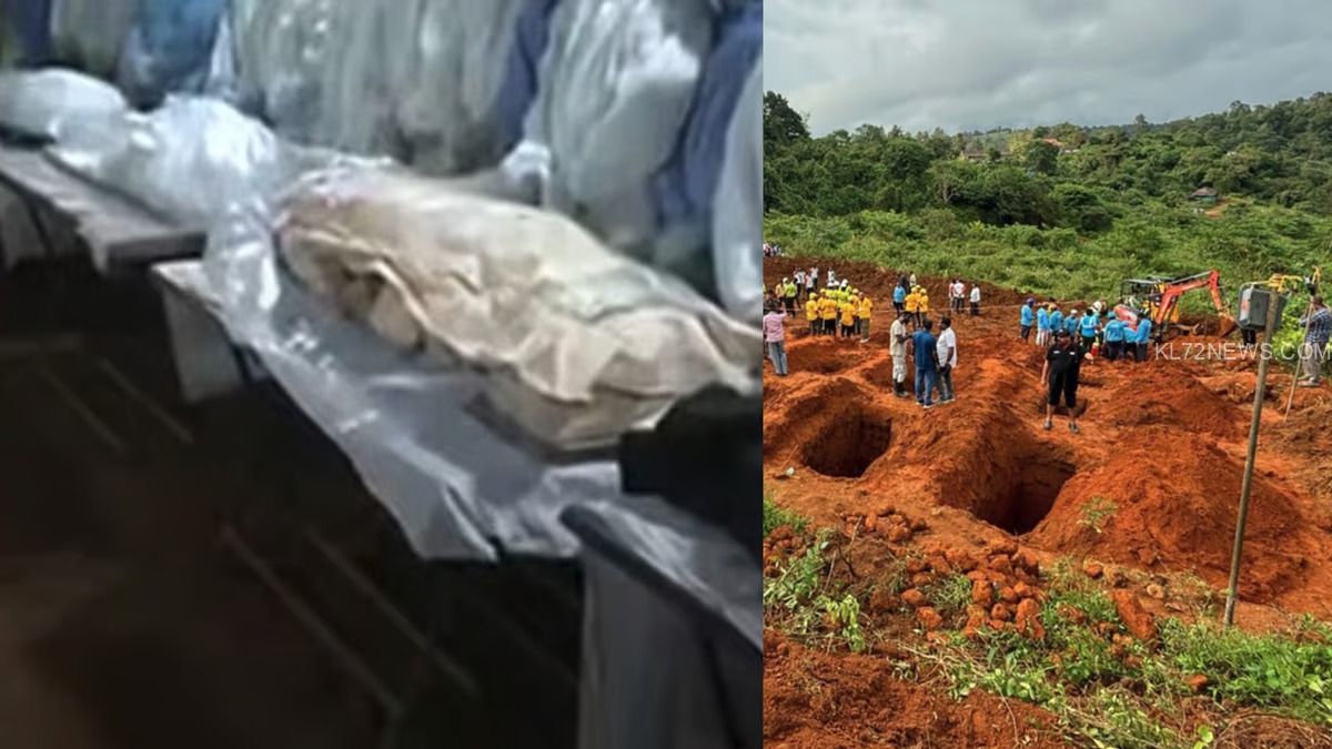 WhatsApp Image 2024-08-05 at 9.24.13 AM (1)