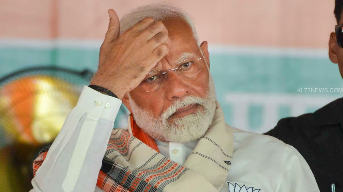 WhatsApp Image 2024-08-08 at 3.00.38 PM