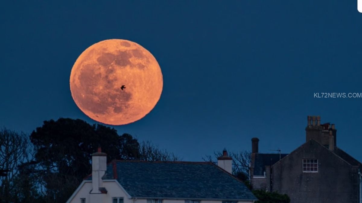 WhatsApp Image 2024-08-19 at 10.05.49 AM