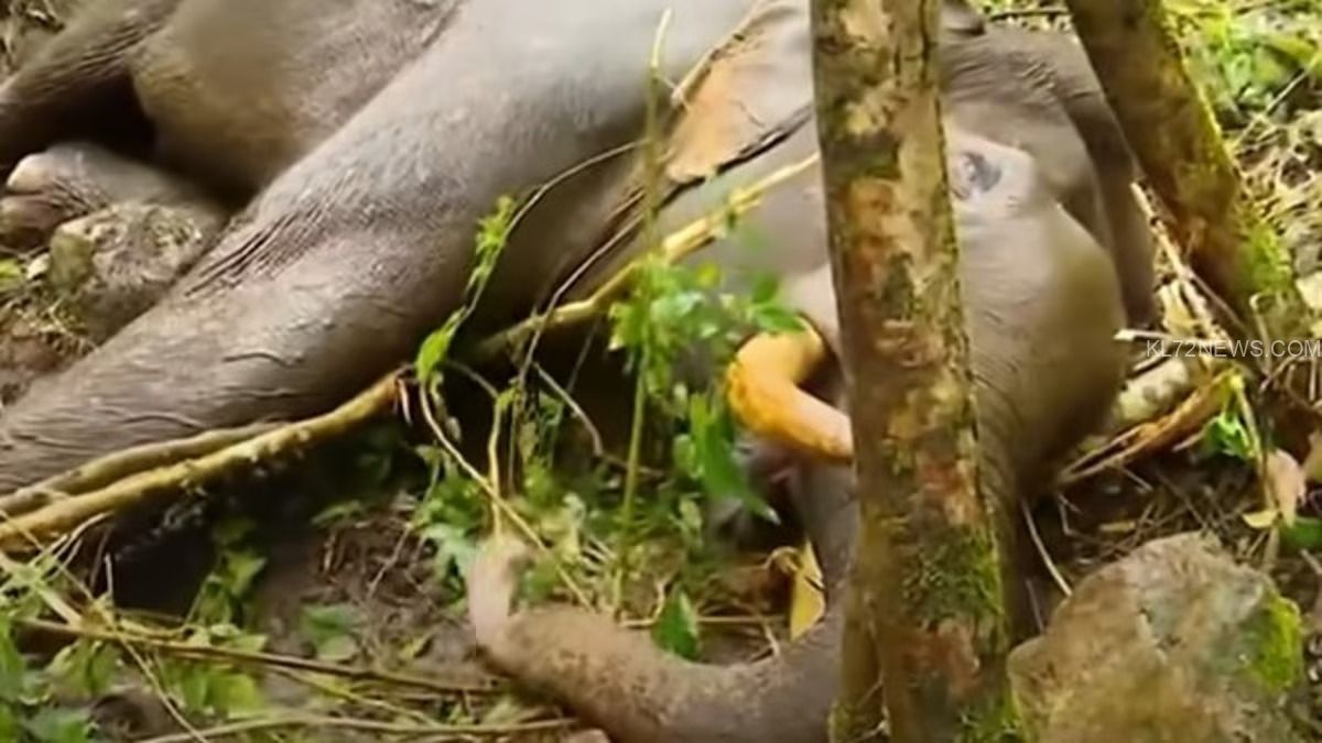 WhatsApp Image 2024-09-01 at 8.51.09 AM (1)