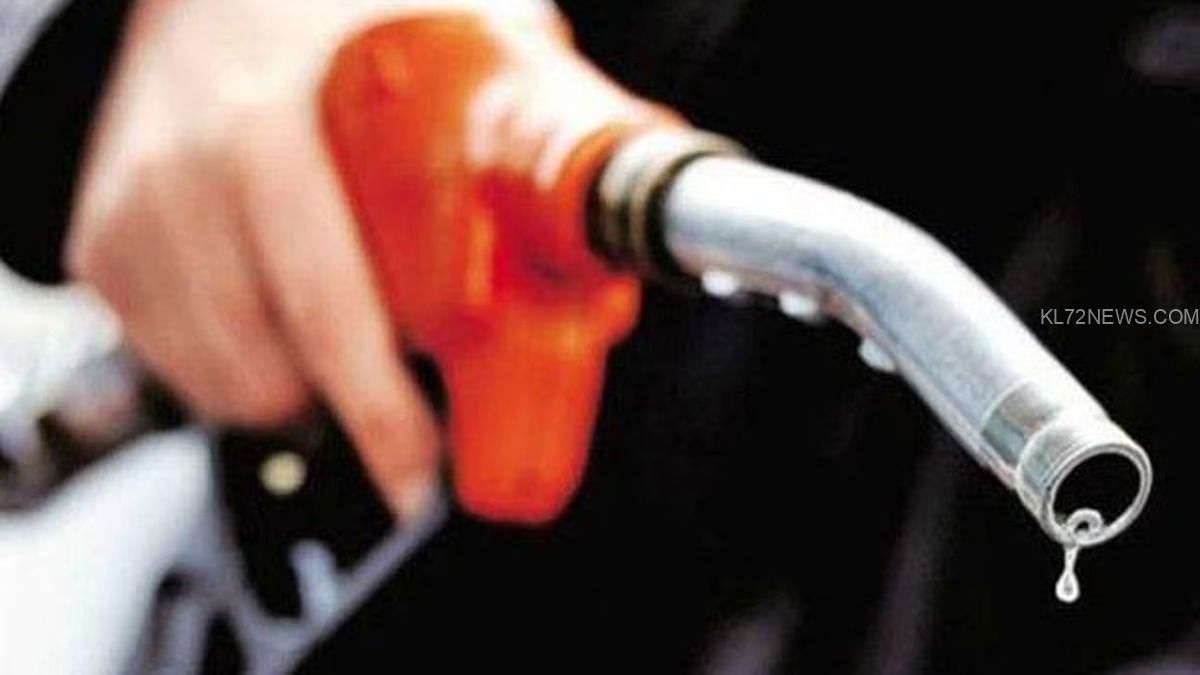 WhatsApp Image 2024-09-04 at 2.03.22 PM (1)