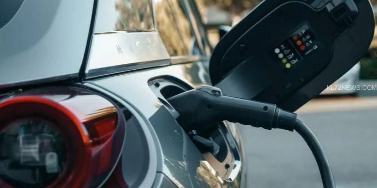 WhatsApp Image 2024-09-05 at 4.48.34 PM