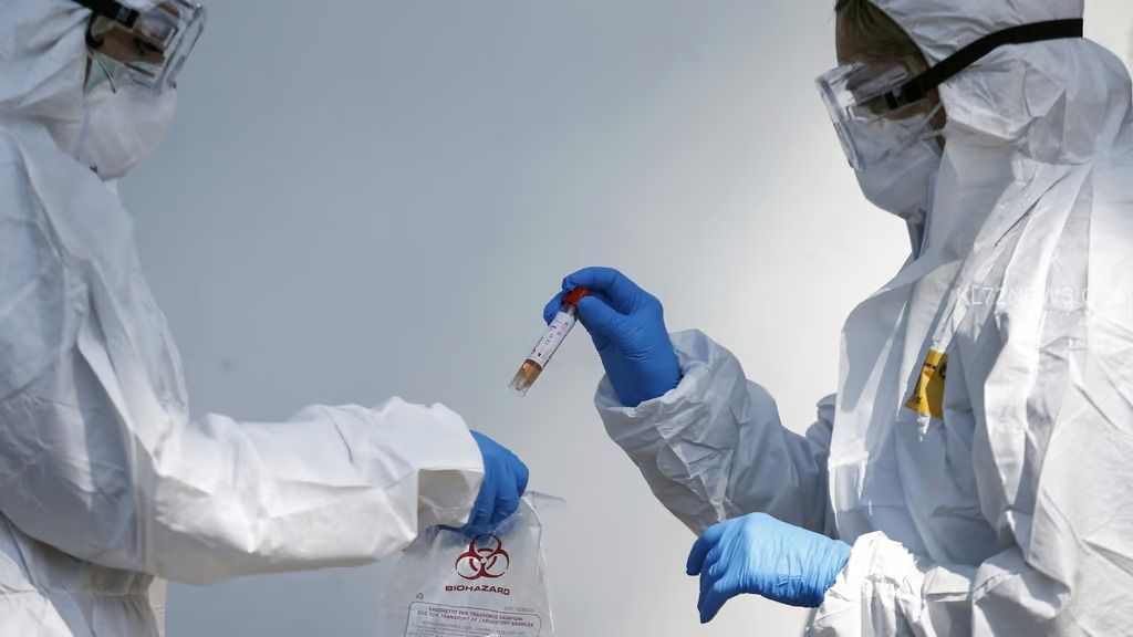 WhatsApp Image 2024-09-17 at 9.35.13 AM