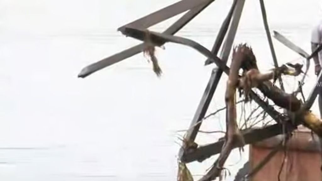 WhatsApp Image 2024-09-23 at 3.40.58 PM