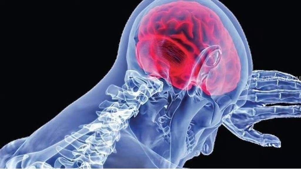 WhatsApp Image 2024-09-27 at 8.16.35 PM (1)