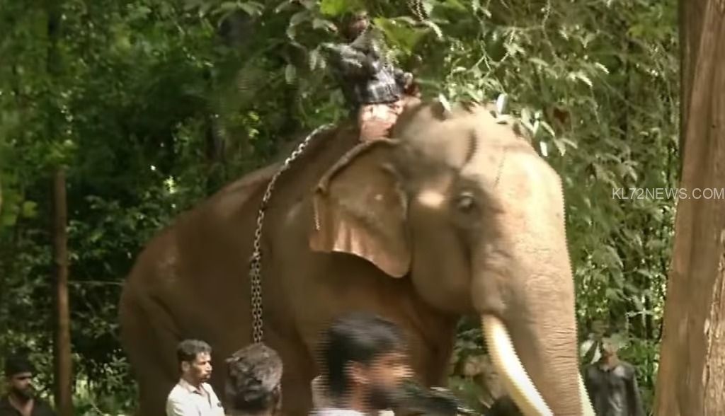 WhatsApp Image 2024-10-05 at 10.42.31 AM (2)