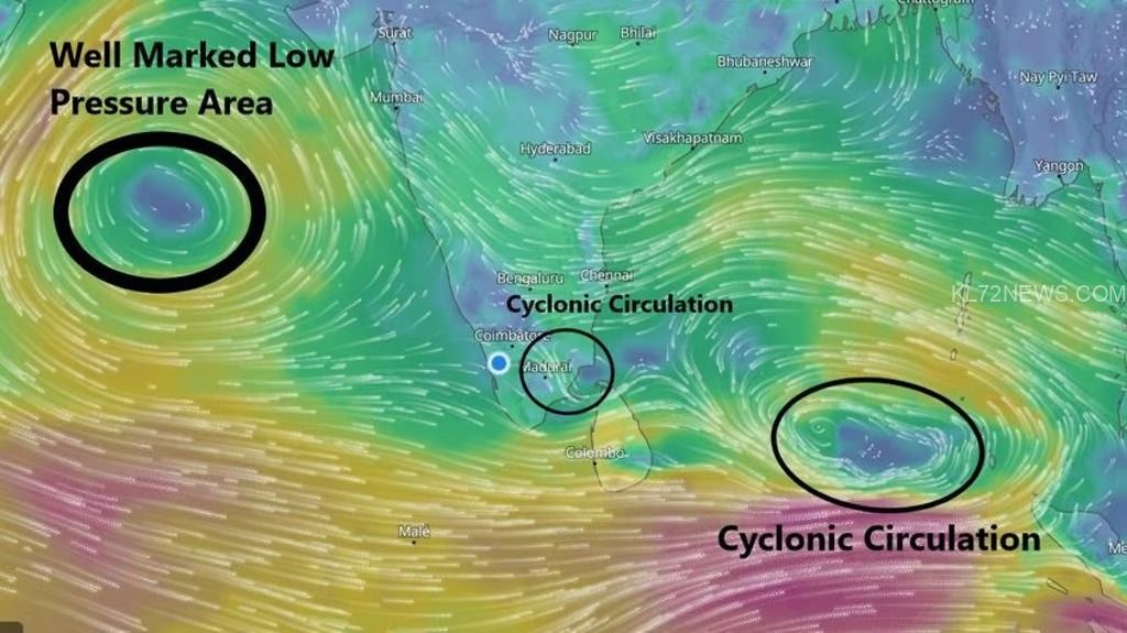 WhatsApp Image 2024-10-13 at 9.17.28 PM