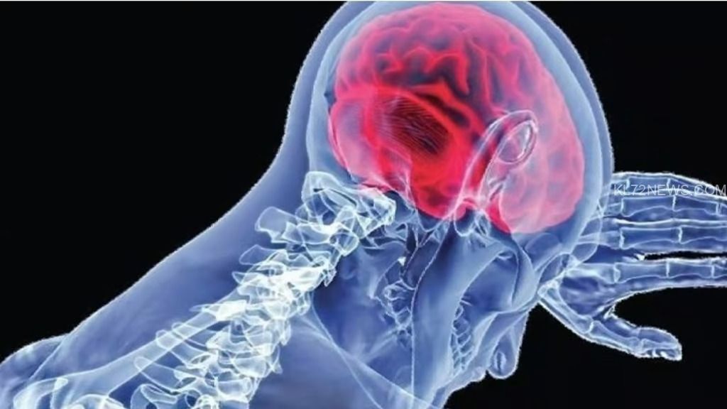 WhatsApp Image 2024-10-14 at 2.10.42 PM