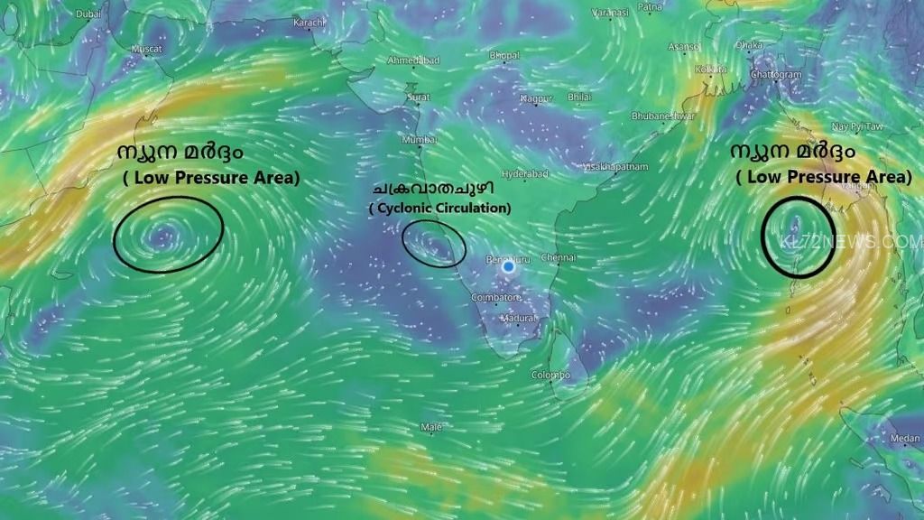 WhatsApp Image 2024-10-22 at 5.31.53 PM