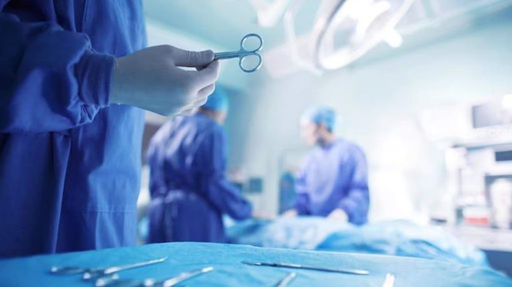 WhatsApp Image 2024-12-28 at 11.07.08 AM