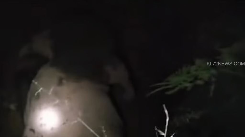 WhatsApp Image 2025-01-23 at 7.46.34 AM