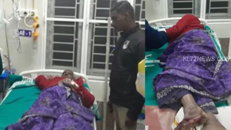 വാൽപ്പാറ കാട്ടാന ആക്രമണം: ചികിത്സയിലായിരുന്ന വയോധിക മരിച്ചു