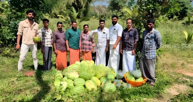 തണ്ണിമത്തൻ കൃഷിയില്‍ നൂറുമേനി വിളയിച്ച്‌ യുവ കര്‍ഷകര്‍