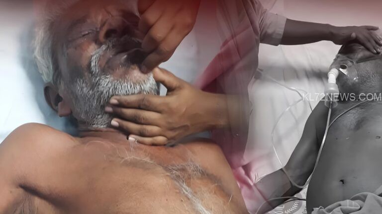 കടന്നൽ കുത്തേറ്റ് വയോധികന് ഗുരുതര പരിക്ക്