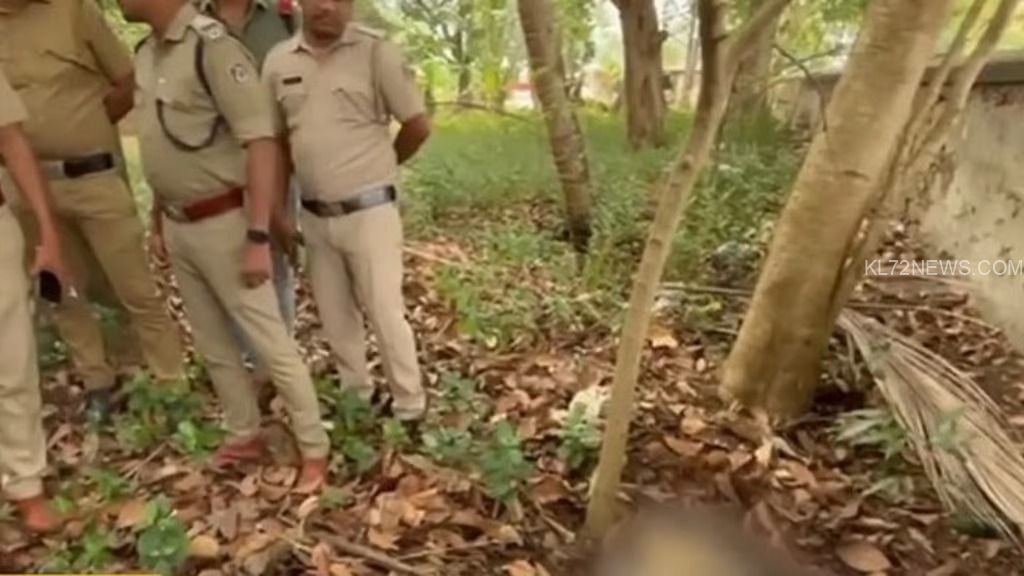 WhatsApp Image 2025-03-11 at 11.37.14 AM