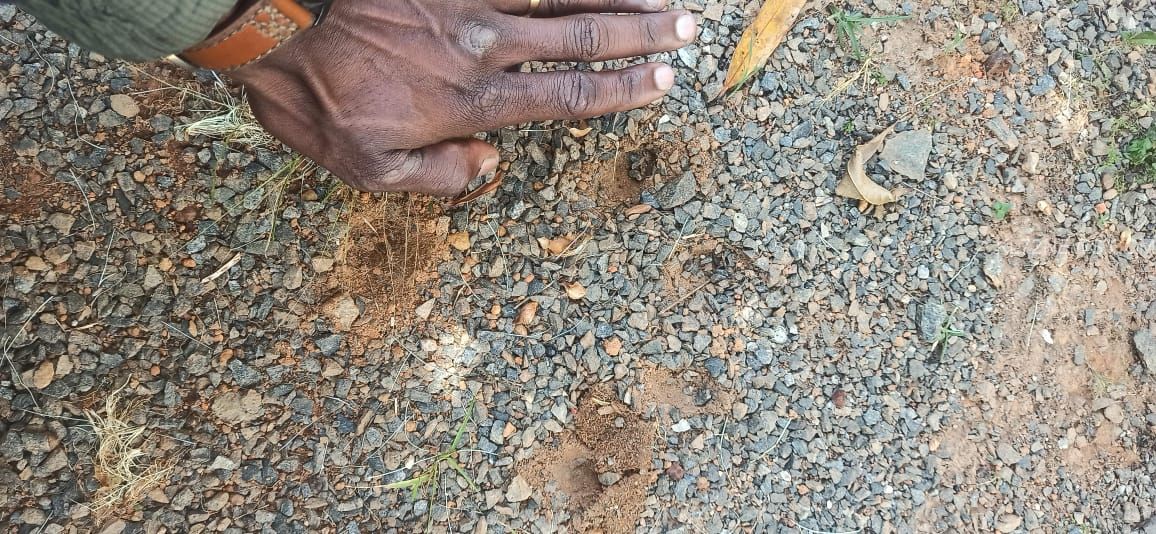 WhatsApp Image 2025-03-14 at 11.35.42_d08a0d9e