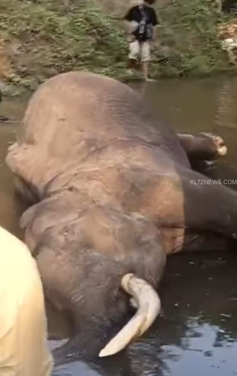 WhatsApp Image 2025-04-20 at 9.53.15 AM