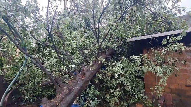 ചാലക്കുടിയില്‍ മിന്നല്‍ ചുഴലി; വ്യാപക നാശനഷ്ടം, മേല്‍ക്കൂരകള്‍ പറന്നുപോയി