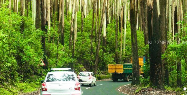 ഗൂഡല്ലൂർ ഊട്ടി റോഡിൽ രാത്രികാല ഗതാഗതം നിരോധിച്ചു