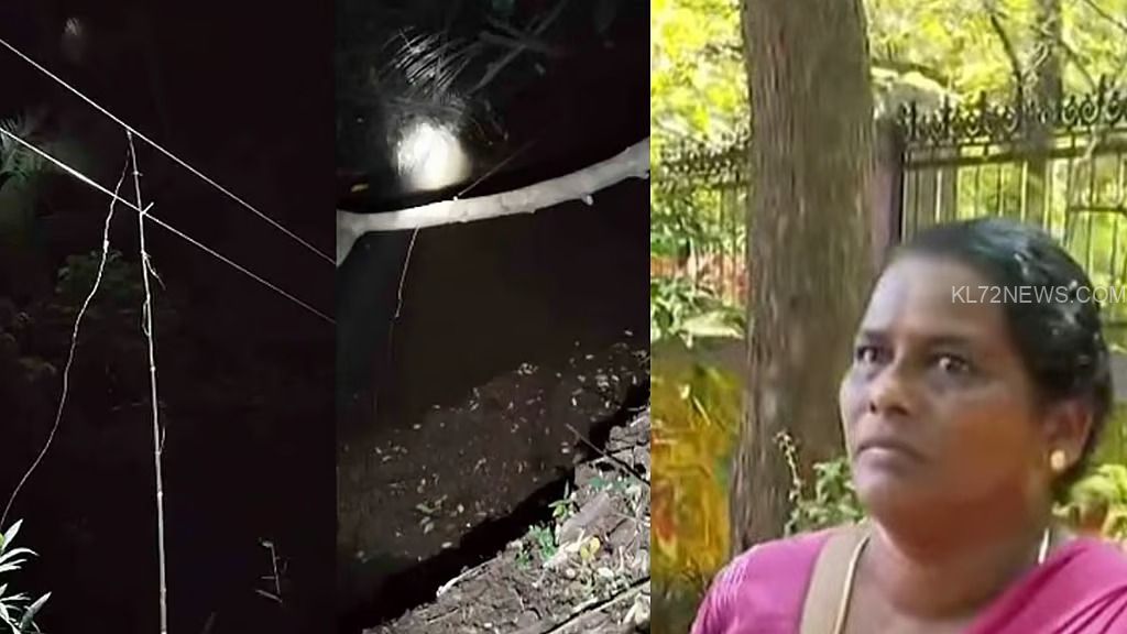 WhatsApp Image 2025-06-08 at 8.16.25 PM