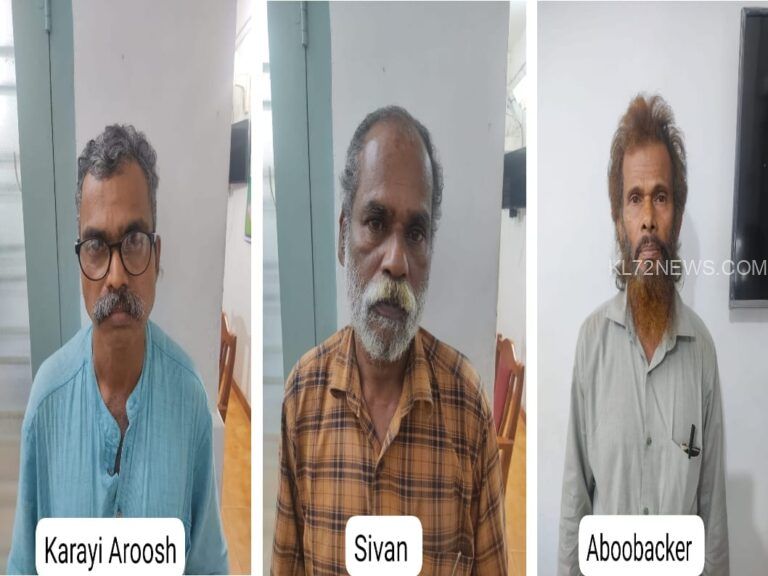 വയോധികയുടെ വീട്ടിൽ അതിക്രമിച്ചു കയറി നാശനഷ്ടം വരുത്തിയ സംഭവം: മൂന്ന് പേർ അറസ്റ്റിൽ