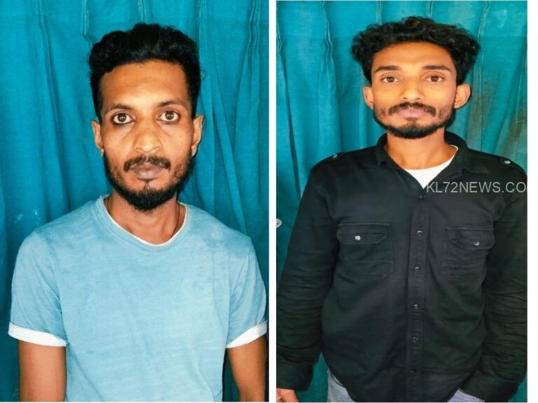 വ്യാജനമ്പര്‍ പതിച്ച ജീപ്പില്‍ എം.ഡി.എം.എ കടത്ത്;വില്‍പ്പനക്കാരനും കൂട്ടാളിയും പിടിയില്‍