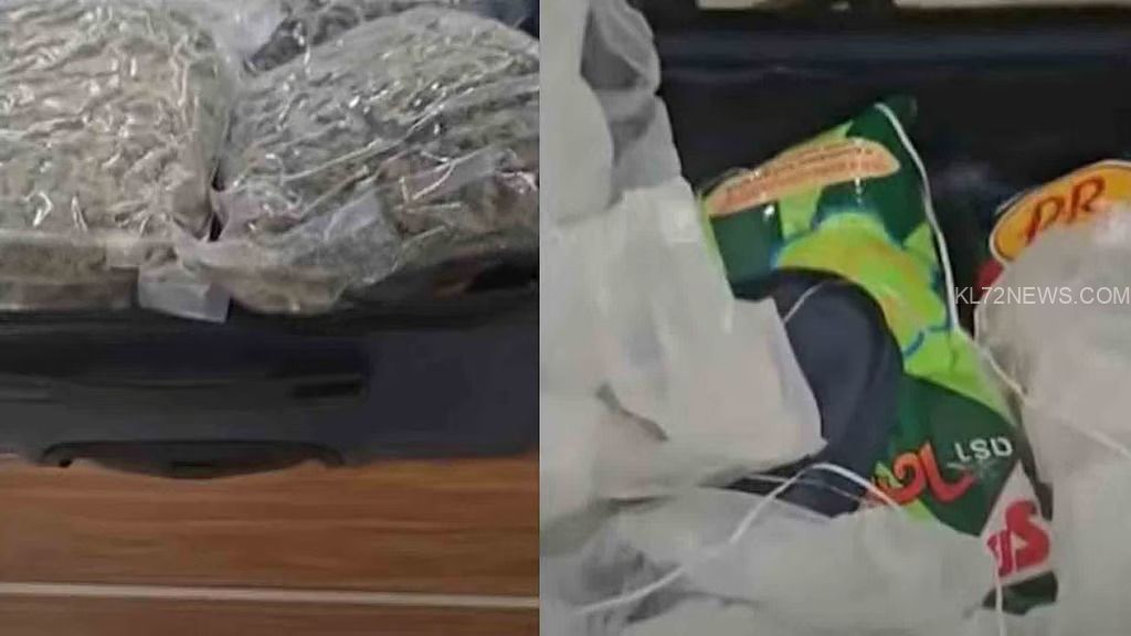 029a509e-fede-41ab-83bd-5150cdb1d2b3