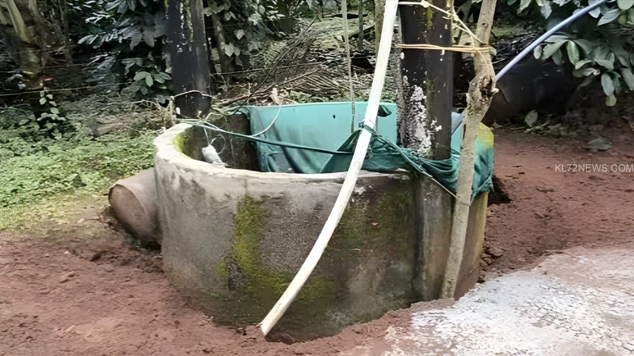 44f836f6-cb67-4daa-bf94-eb4356b96c03