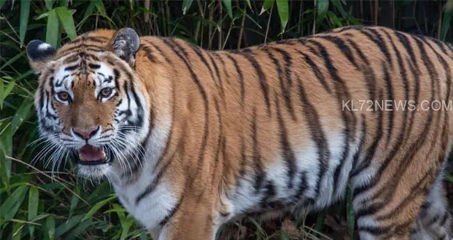 6c165d9b-5abf-4893-b295-75d2a00fd71a