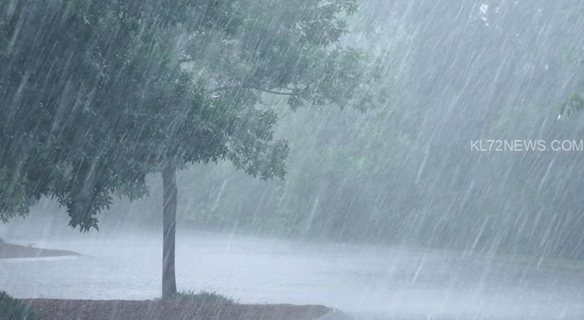 WhatsApp Image 2025-08-03 at 2.49.31 PM