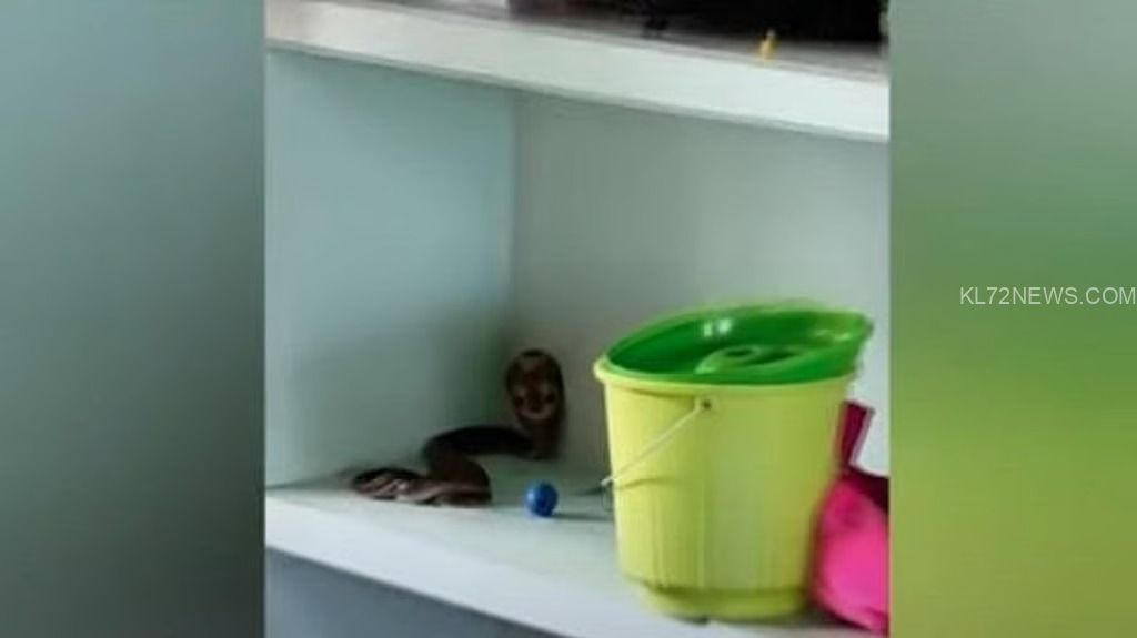 WhatsApp Image 2025-08-04 at 9.15.21 PM