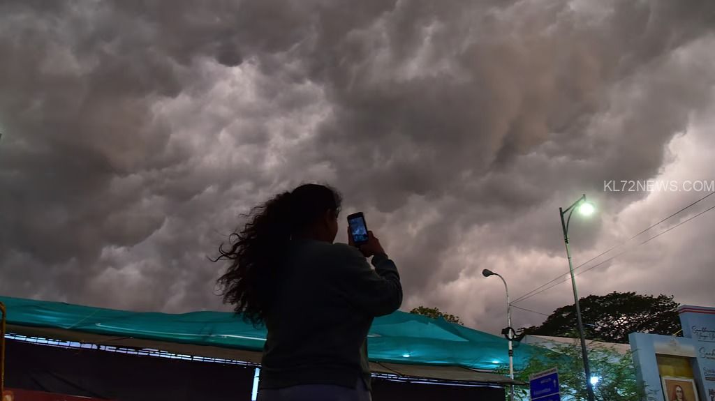 WhatsApp Image 2025-08-13 at 8.50.18 AM