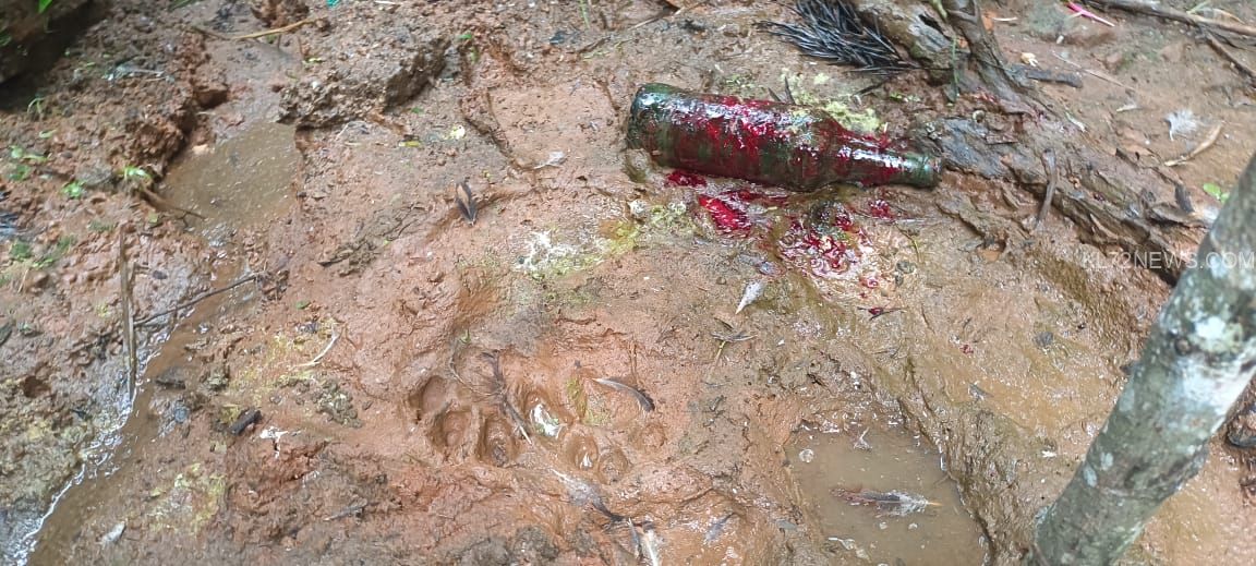 b6f42eeb-e48c-4c23-938b-0cf660453f14