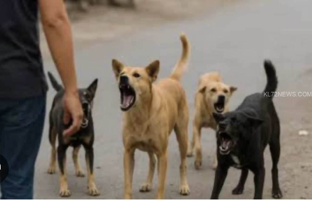 d85593a7-a782-43e1-a2ac-8cc9c513638d