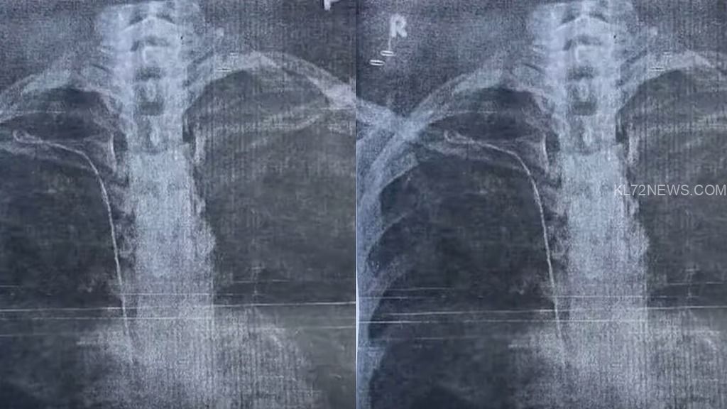 e74ee322-c61a-4f04-82db-dc2e74894b80