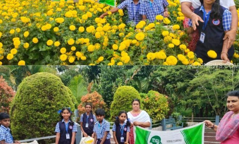 കബനിഗിരി സെൻമേരിസ് എ യു പി സ്കൂളിൽ ബന്തിപൂ കൃഷി വിളവെടുപ്പ് നടത്തി.