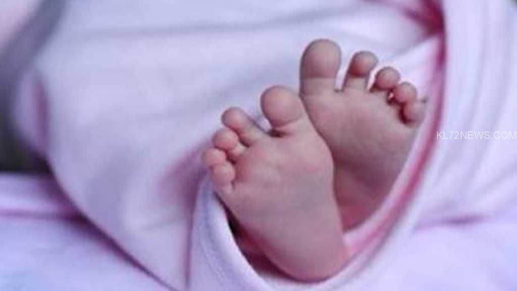 6aceb0e9-6d36-4281-8b4b-d89c334c331f