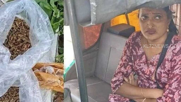 ഓണക്കാലം ലക്ഷ്യമിട്ട് ഓട്ടോറിക്ഷയില്‍ കഞ്ചാവ് കടത്തല്‍; യുവതി പിടിയില്‍