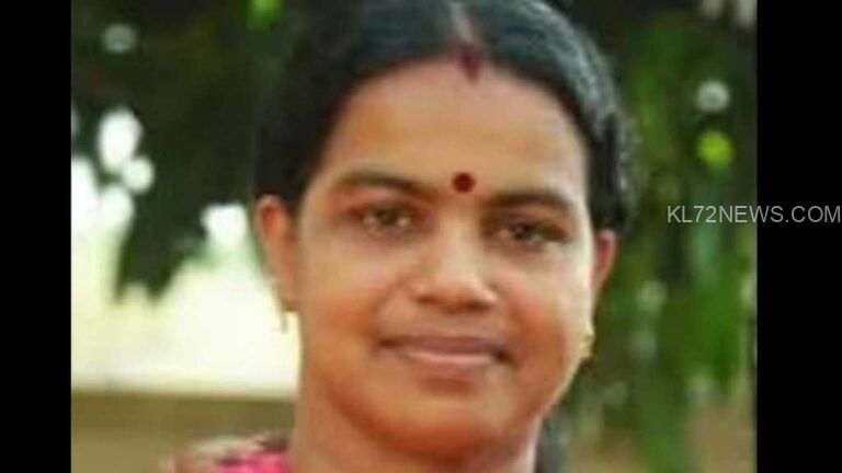 മകളെ യാത്രയാക്കാനെത്തിയ അമ്മ ട്രെയിനിന് അടിയില്‍പെട്ട് മരിച്ചു