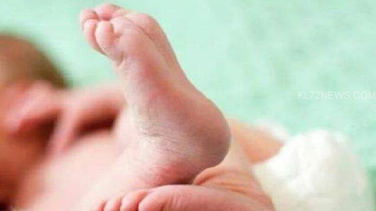 ആദിവാസി യുവതി കാട്ടില്‍ പ്രസവിച്ചു; ആശുപത്രിയില്‍ പോകാന്‍ കൂട്ടാക്കിയില്ല, പരിചരണം ഉറപ്പാക്കി ആരോഗ്യ പ്രവര്‍ത്തകര്‍