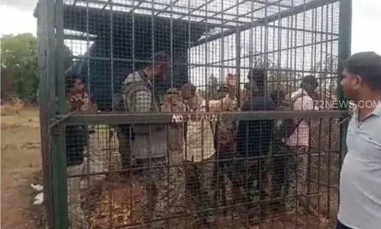 ഗ്രാമത്തിലെത്തി കന്നുകാലികളെ ആക്രമിക്കുന്ന കടുവകളെ പിടികൂടാത്ത വനം വകുപ്പ് ഉദ്യോഗസ്ഥരുടെ നടപടിയില്‍ പ്രതിഷേധിച്ച് കര്‍ഷകര്‍ ഉദ്യോഗസ്ഥരെ കൂട്ടിൽ പൂട്ടിയിട്ടു.
